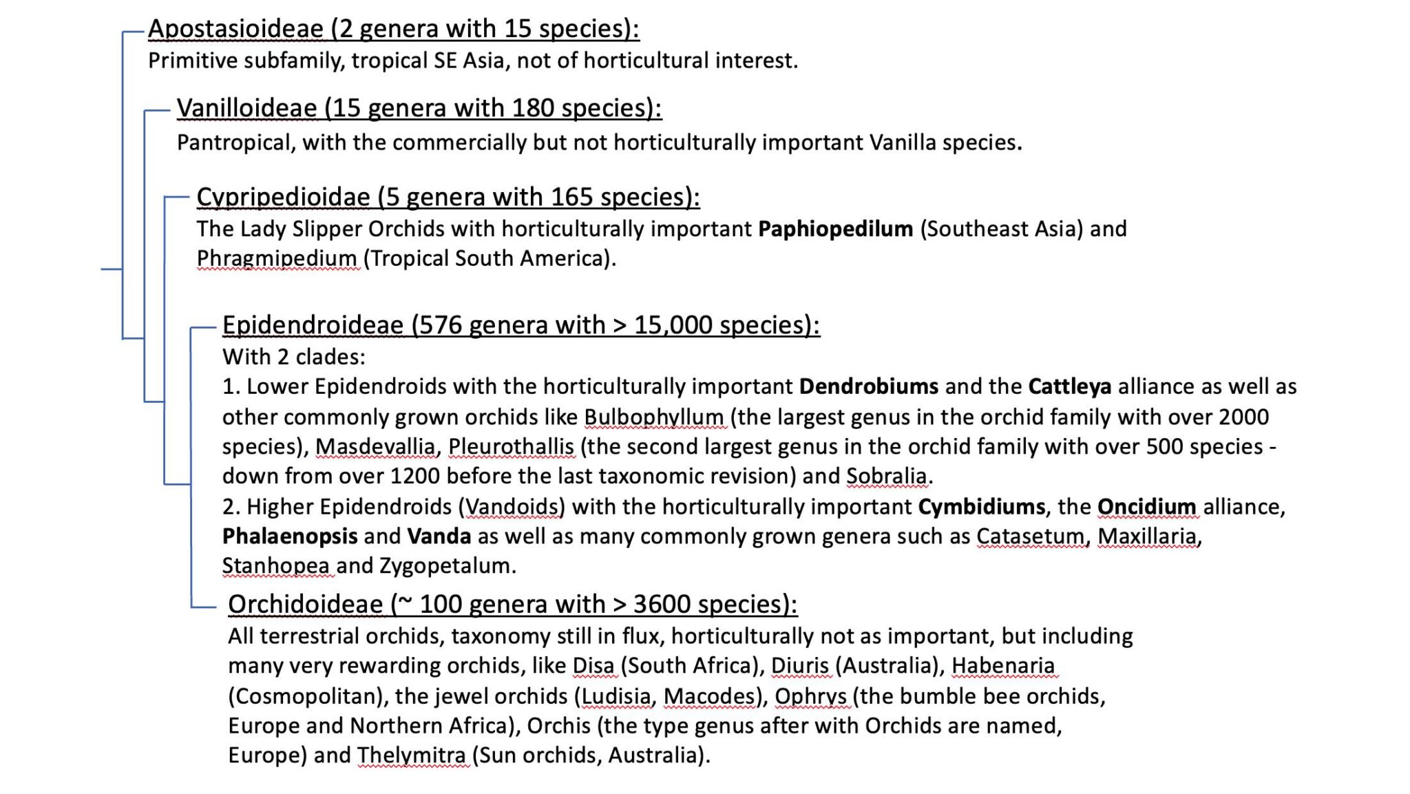 About Orchids – San Diego County Orchid Society