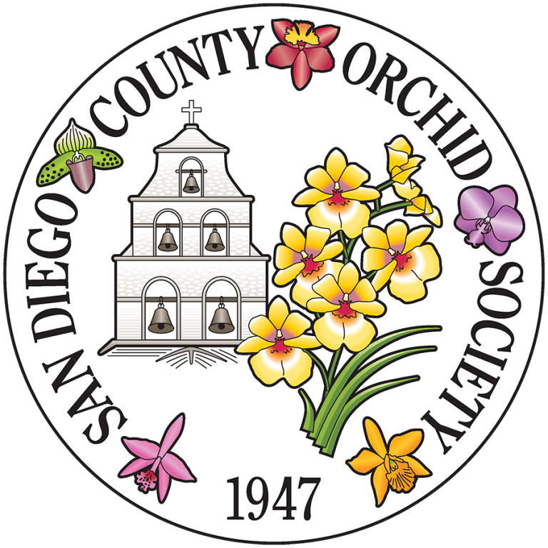 Up coming show san diego county orchid society